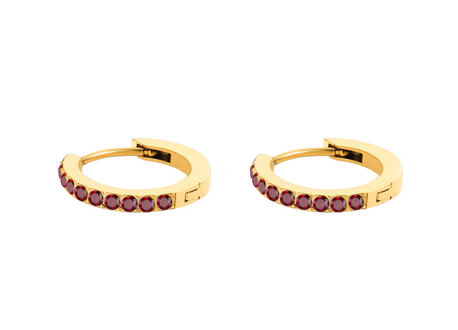 Birthstone Paved Hoop Earrings
